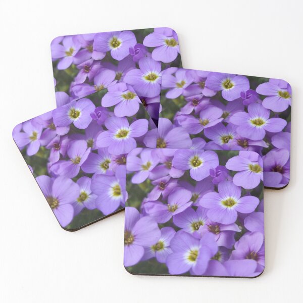 Item preview, Vibrant Purple Aubrieta Rock Cress Garden Flowers designed and sold by Kainicram.