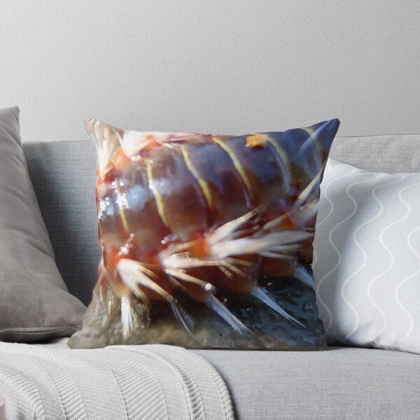 Item preview, Marine worm designed and sold by Ana Belaj.