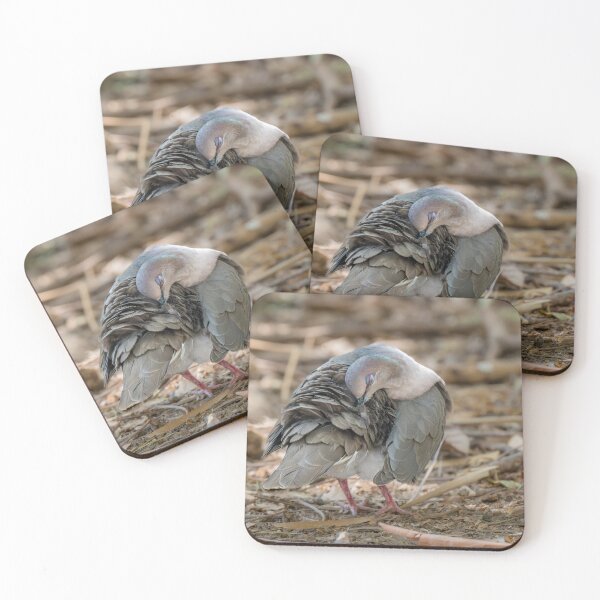 Item preview, Shy White-tipped Dove designed and sold by Debra Martz.