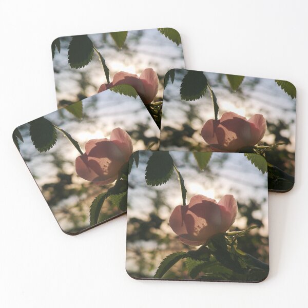 Item preview, Golden Hour Wild Rose Silhouette Botanical Photography designed and sold by Kainicram.