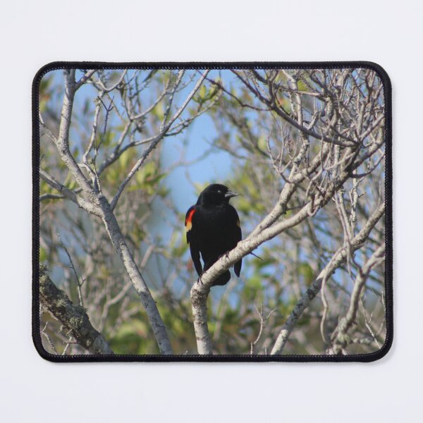 Item preview, Bird Perched on Leafless Branch designed and sold by Cynthia48.