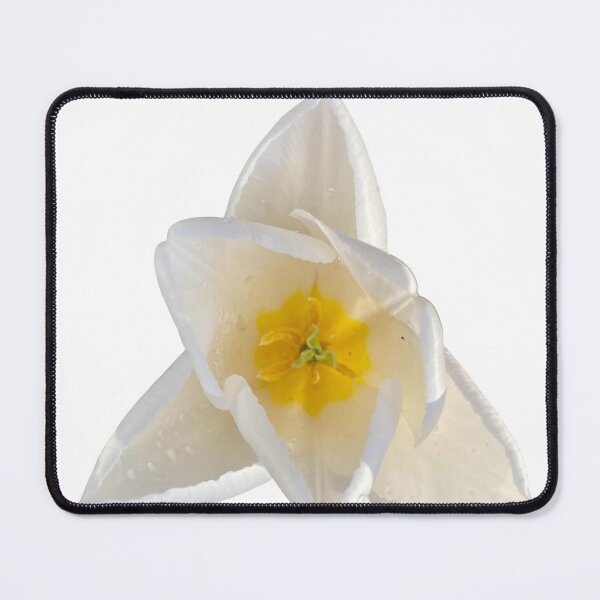 Item preview, Beauty of Nature - White Tulip designed and sold by Mikegriffiths77.