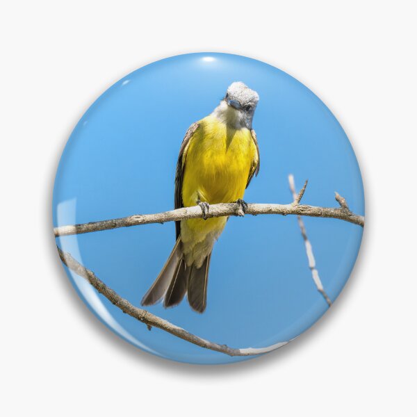 Item preview, Couch's Kingbird on a Bare Branch designed and sold by Debra Martz.