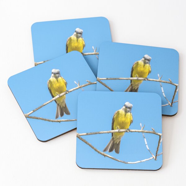 Item preview, Couch's Kingbird on a Bare Branch designed and sold by Debra Martz.