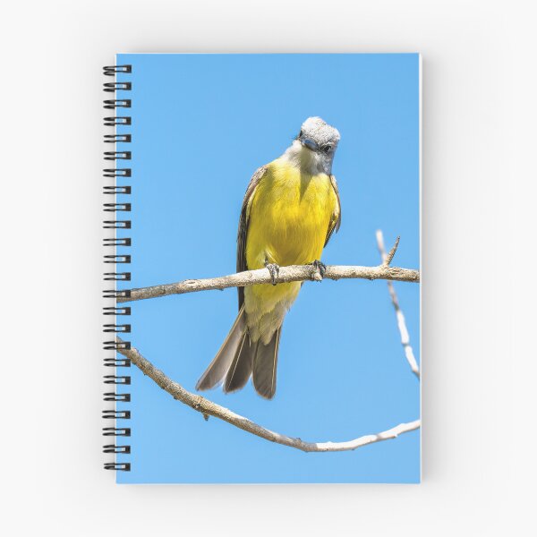 Item preview, Couch's Kingbird on a Bare Branch designed and sold by Debra Martz.