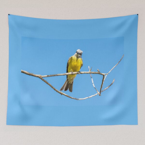Item preview, Couch's Kingbird on a Bare Branch designed and sold by Debra Martz.