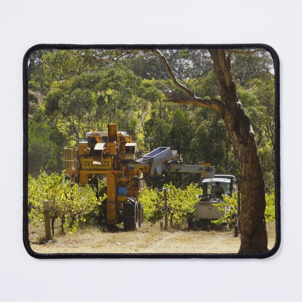 Item preview, Pinot Noir Harvest at Magpie Springs Vineyard designed and sold by MagpieSprings.