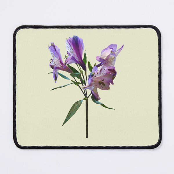 Item preview, Purple Peruvian Lily designed and sold by Susan Savad.