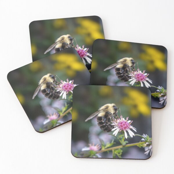 Item preview, Where the Light Lingers on Her Wings – A Bee’s Moment on Autumn Aster designed and sold by Susarellis.