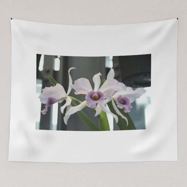 Item preview, Elegant White and Purple Orchids designed and sold by Cynthia48.