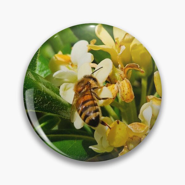 Aperçu de l'œuvre Abeille créée et vendue par Courtney Croxall.