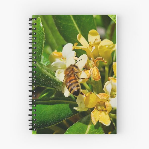Item preview, Honey bee designed and sold by Courtney Croxall.
