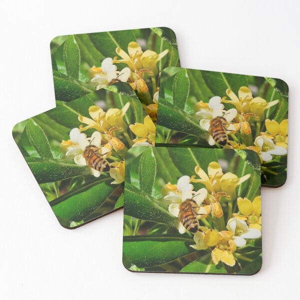 Aperçu de l'œuvre Abeille créée et vendue par Courtney Croxall.