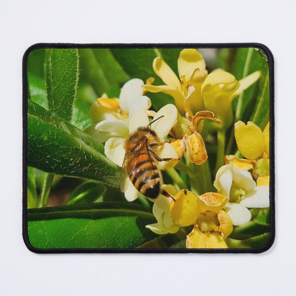 Item preview, Honey bee designed and sold by Courtney Croxall.