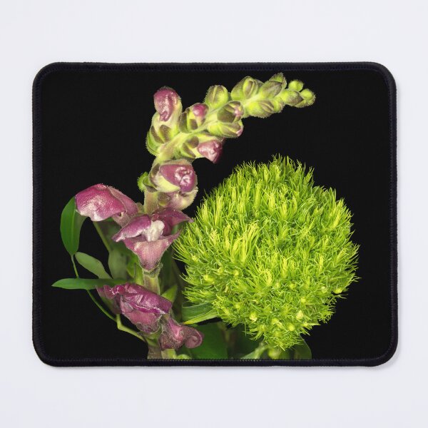 Item preview, Snapdragon & Green Trick Dianthus: A Botanical Duet designed and sold by Susarellis.
