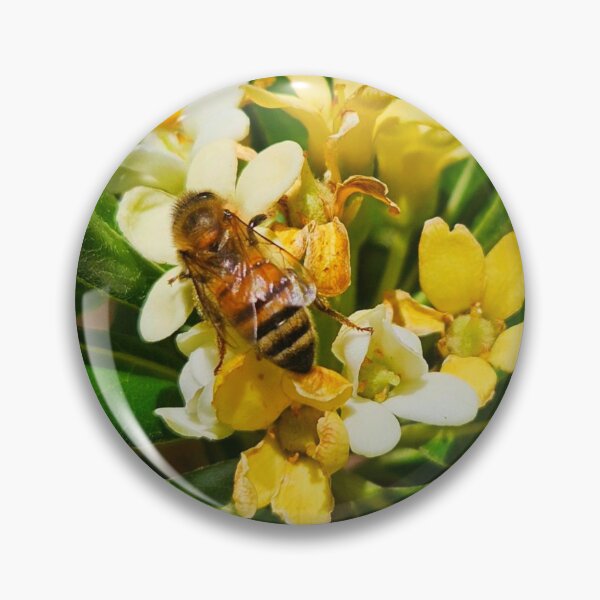 Aperçu de l'œuvre Abeille créée et vendue par Courtney Croxall.