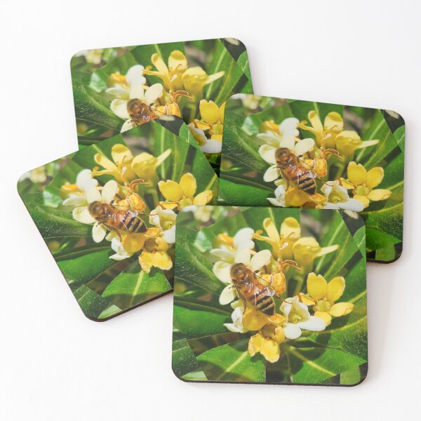 Item preview, Honey bee designed and sold by Courtney Croxall.