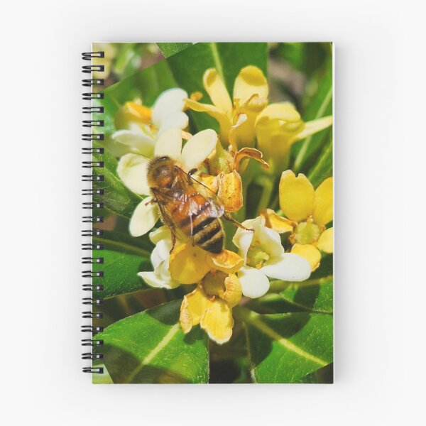 Item preview, Honey bee designed and sold by Courtney Croxall.