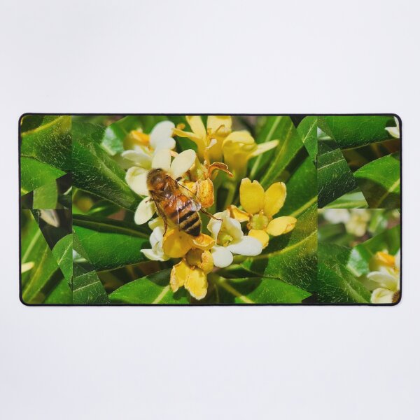 Item preview, Honey bee designed and sold by Courtney Croxall.