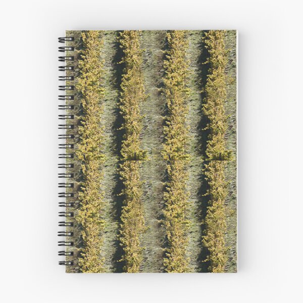 Item preview, Vines from Above by Adelaide Artist Avril Thomas at Magpie Springs designed and sold by MagpieSprings.