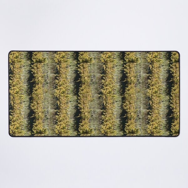 Item preview, Vines from Above by Adelaide Artist Avril Thomas at Magpie Springs designed and sold by MagpieSprings.