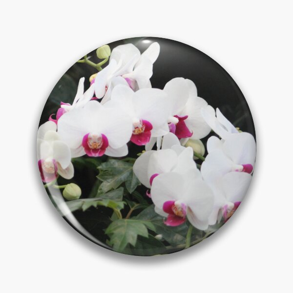 Item preview, Phalaenopsis Orchid designed and sold by Cynthia48.