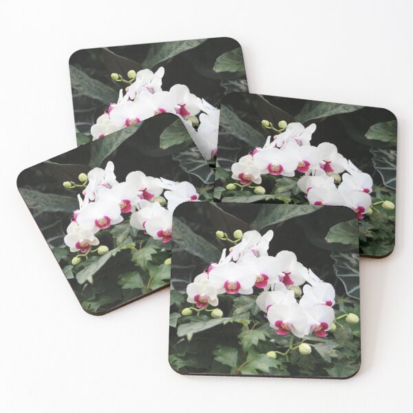 Item preview, Phalaenopsis Orchid designed and sold by Cynthia48.