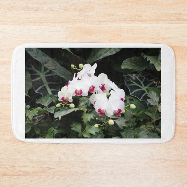 Item preview, Phalaenopsis Orchid designed and sold by Cynthia48.