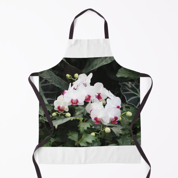 Item preview, Phalaenopsis Orchid designed and sold by Cynthia48.