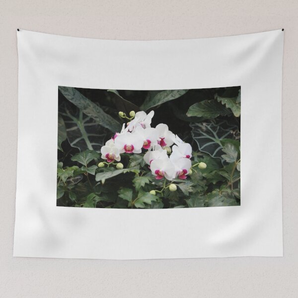 Item preview, Phalaenopsis Orchid designed and sold by Cynthia48.
