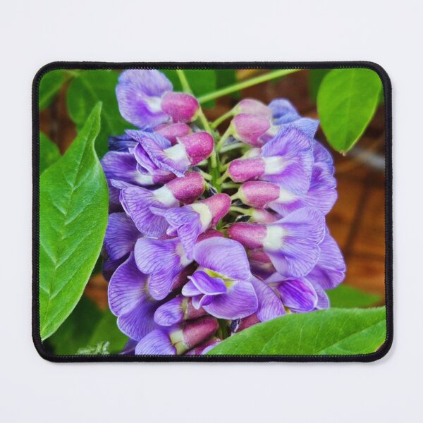 Item preview, Wisteria  designed and sold by Courtney Croxall.