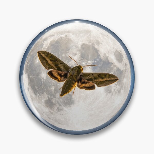 Item preview, Sphinx Moth Full Moon designed and sold by Tridentulus.