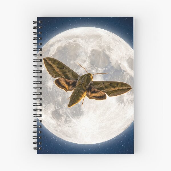 Item preview, Sphinx Moth Full Moon designed and sold by Tridentulus.