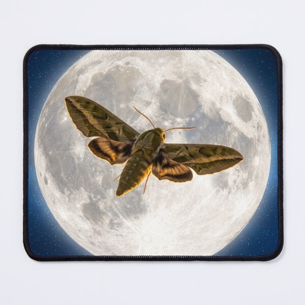 Item preview, Sphinx Moth Full Moon designed and sold by Tridentulus.