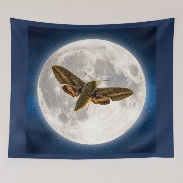 Item preview, Sphinx Moth Full Moon designed and sold by Tridentulus.