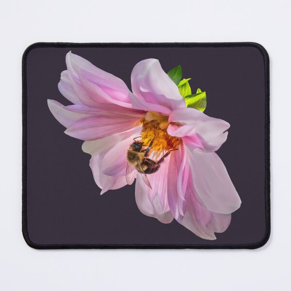 Item preview, Honeybee in a Pink Dahlia Blossom — Gentle Nature and Quiet Strength designed and sold by Susarellis.