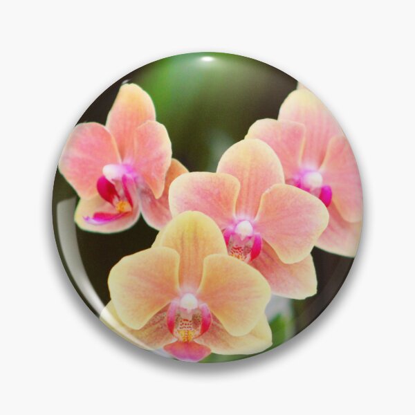 Item preview, Orchids in Garden designed and sold by Cynthia48.
