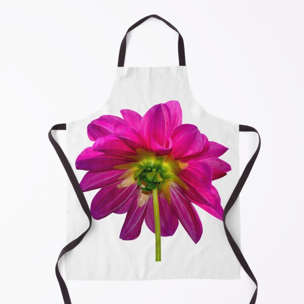 Item preview, Pink Dahlia from Behind – Bold Magenta Petals and Green Stem on Transparent Background designed and sold by Susarellis.