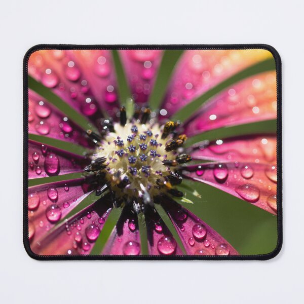Item preview, Spring Flowers After Rain designed and sold by Handmade By StephArt.