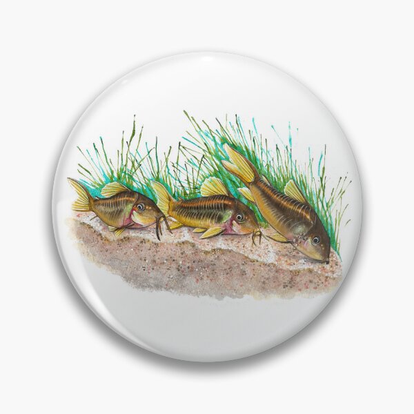Item preview, Gold Laser Corydoras - Watercolor Painting designed and sold by The Art of Victoria Pfeiffer.