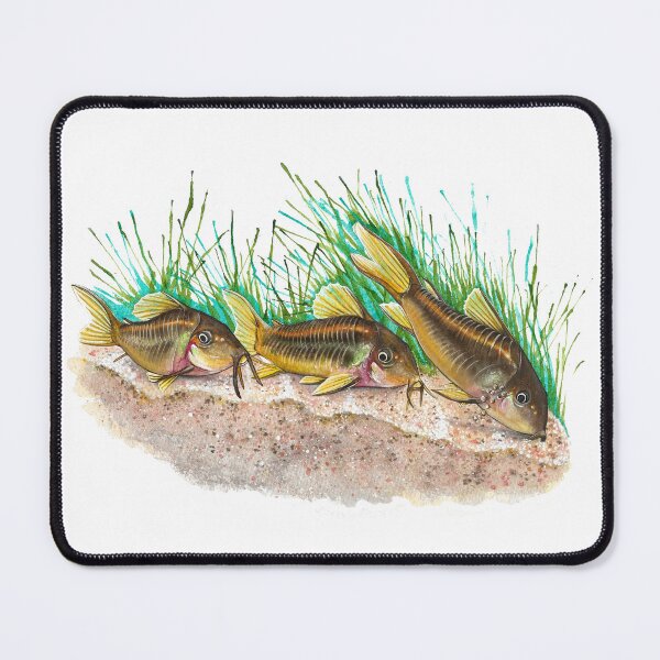 Item preview, Gold Laser Corydoras - Watercolor Painting designed and sold by The Art of Victoria Pfeiffer.