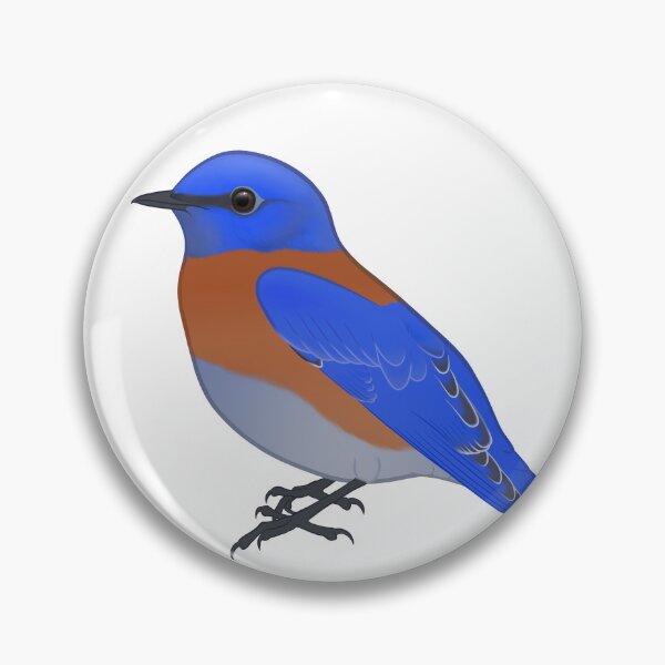 Item preview, Western Bluebird - Bird Collection  designed and sold by StarscapeNW.