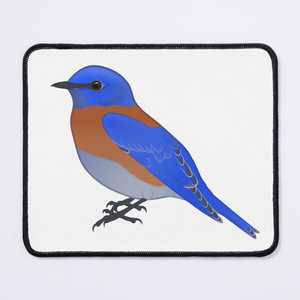 Item preview, Western Bluebird - Bird Collection  designed and sold by StarscapeNW.