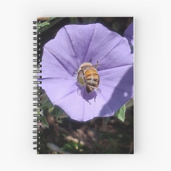 Artikelvorschau, Bienenkolben entworfen und verkauft von FABric Photos.