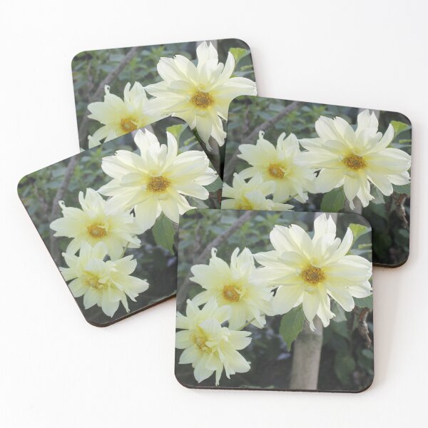 Item preview, Clair de Lune Dahlia: Zenith Light designed and sold by JhonBotanicalAr.