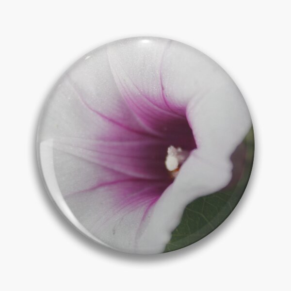 Item preview, Ipomoea Batatas: La Belleza Oculta (Ipomoea Batatas: The Hidden Beauty) designed and sold by JhonBotanicalAr.