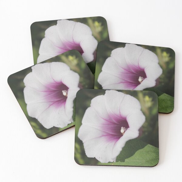 Item preview, Ipomoea Batatas: La Belleza Oculta (Ipomoea Batatas: The Hidden Beauty) designed and sold by JhonBotanicalAr.