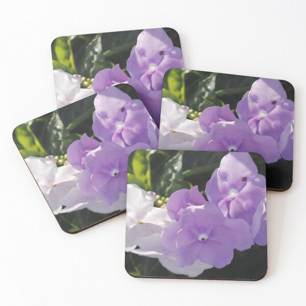 Item preview, Brunfelsia: Light and Color Study designed and sold by JhonBotanicalAr.