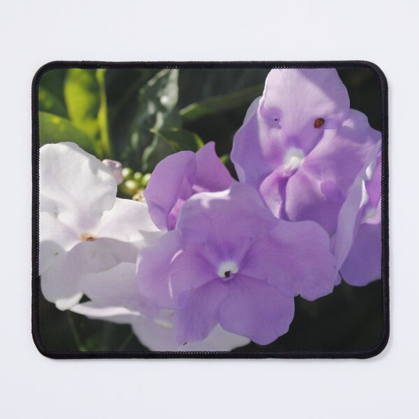 Item preview, Brunfelsia: Light and Color Study designed and sold by JhonBotanicalAr.