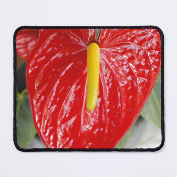 Item preview, Anthurium: Texture and Brilliance  designed and sold by JhonBotanicalAr.